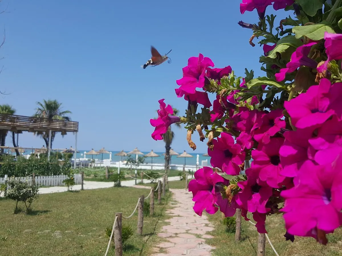 Umami Beach Resort Kavaje